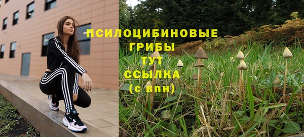 PSILOCYBIN Баксан