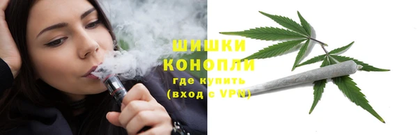 ПСИЛОЦИБИНОВЫЕ ГРИБЫ Балахна