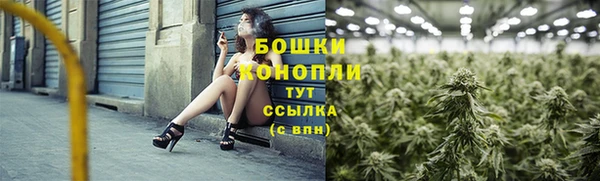 PSILOCYBIN Баксан