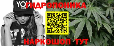 соль курить ск Гатчина