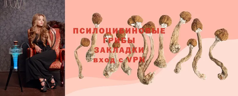 Псилоцибиновые грибы MAGIC MUSHROOMS  Елабуга 