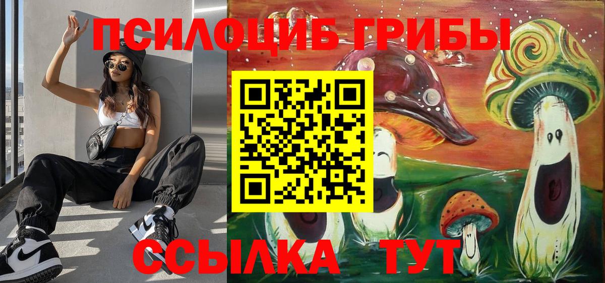 Галлюциногенные грибы ЛСД Елабуга