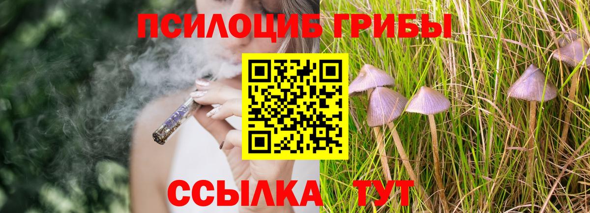 Псилоцибиновые грибы мухоморы  Елабуга  Галлюциногенные грибы Magic Shrooms 