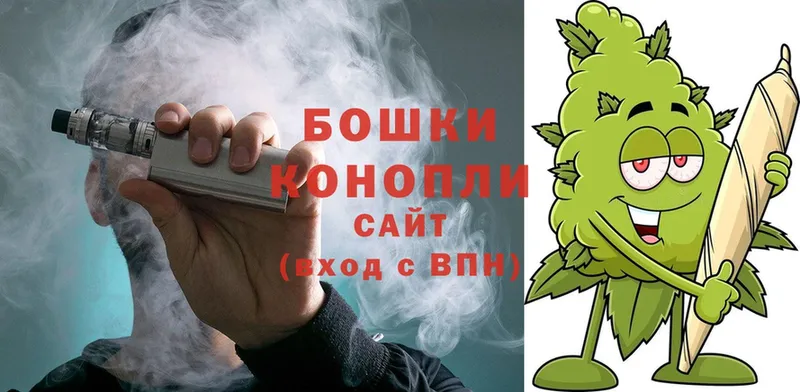 цены наркотик  Елабуга  Канабис Bruce Banner 